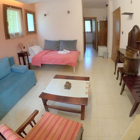 Hotel Rastoni Pelion Vizitsa Esterno foto