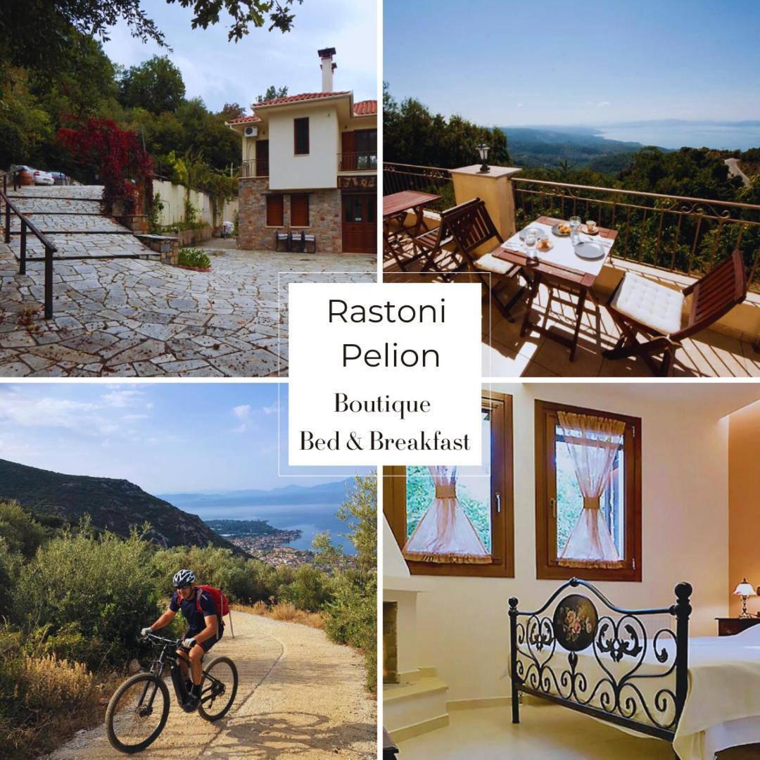 Hotel Rastoni Pelion Vizitsa Esterno foto