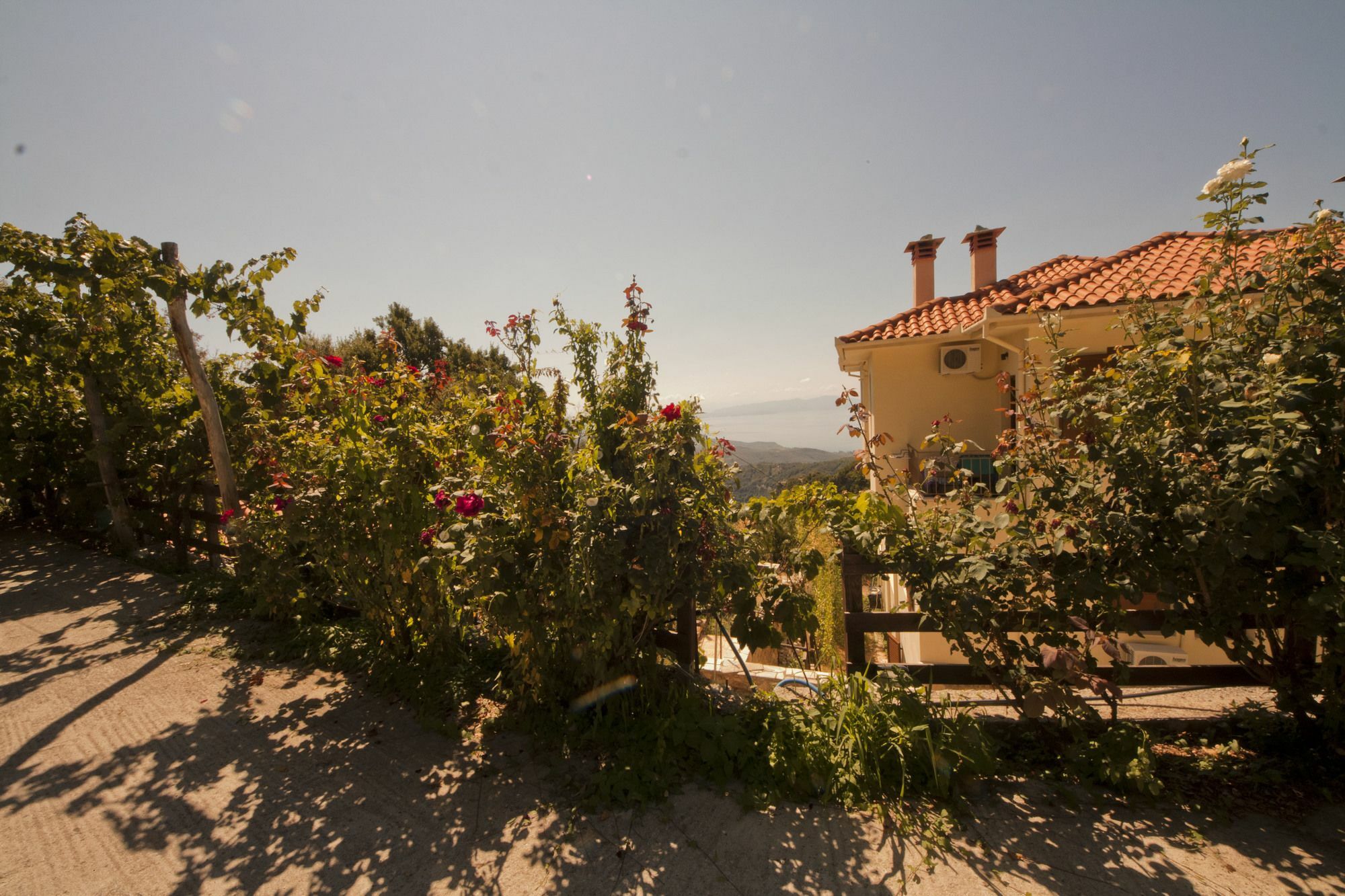 Hotel Rastoni Pelion Vizitsa Esterno foto